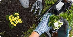 Sustainable Agriculture Practices